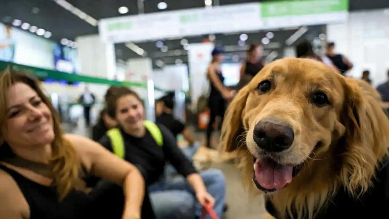 Famílias brasileiras gastam até R$ 690 por mês com pets