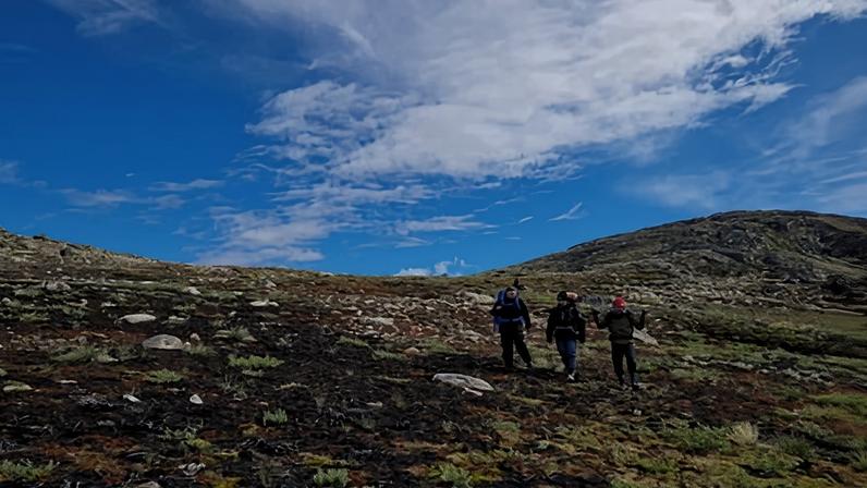 Researchers and emergency services are still unsure what ignited the now burned tundra in Greenland.