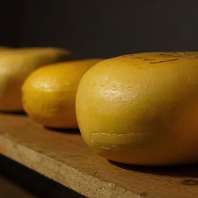 A evolução global do queijo, suas variações e padrões ao redor do mundo
