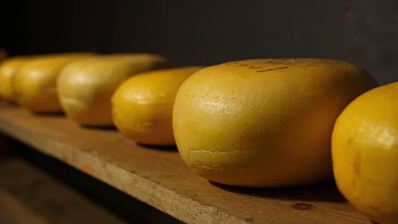 A evolução global do queijo, suas variações e padrões ao redor do mundo
