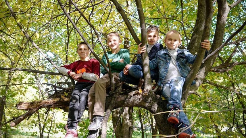 Especialistas destacam que subir em árvores pode beneficiar o desenvolvimento infantil quando a atividade acontece com segurança e respeito ao meio ambiente