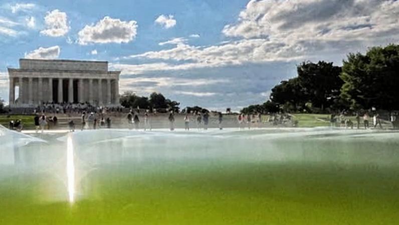 Algas impedem Trump de deixar piscina refletora azul da bandeira americana