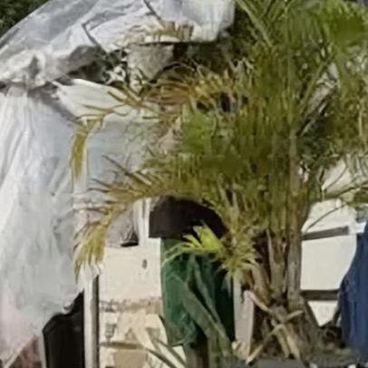 Homem é morto a tiros dentro de casa em Tambay, Bayeux