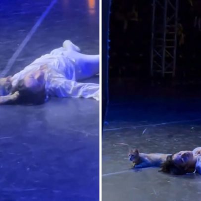 Gato invade palco de Romeu e Julieta, morde ator brasileiro e atrapalha o final