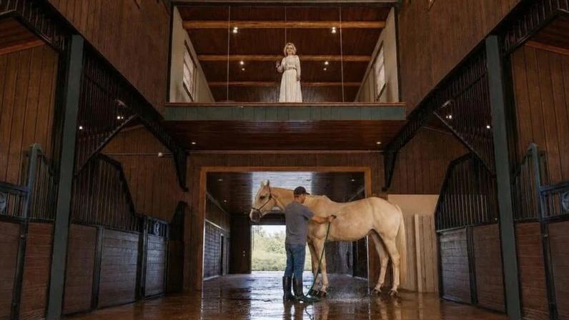 Uma parede envidraçada permite observar os cavalos do andar superior