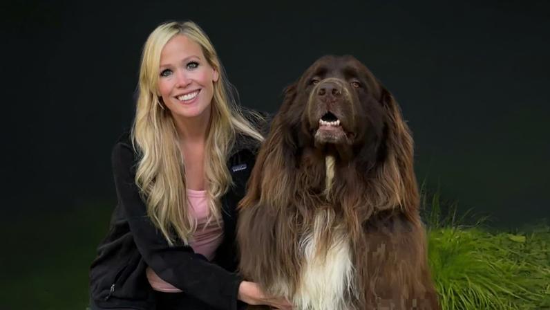 ‘He is like my fourth child’ … Amy Savino and Chewy in North Carolina, last month.