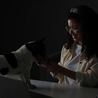 Causa Animal realiza ações veterinárias no Arquipélago, Porto Alegre