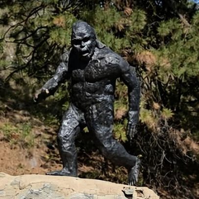 Avistamentos de Sasquatch reacendem entusiasmo e ceticismo sobre a criatura