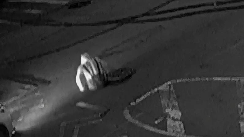 Acredita-se que os homens filmados por câmeras de vigilância estariam procurando objetos de valor no subsolo