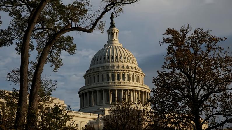 ‘Only one of the examples cited above (the DoJ) even proposes to involve the public.’ Photograph: Aashish Kiphayet/NurPhoto/REX/Shutterstock