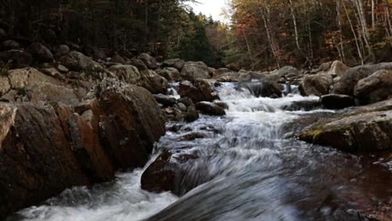‘Public lands belong to us all, including you.’ Photograph: Boston Globe/Getty Images