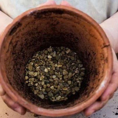 Dicas para plantas de interior: cascalho no fundo de vasos melhora a drenagem?
