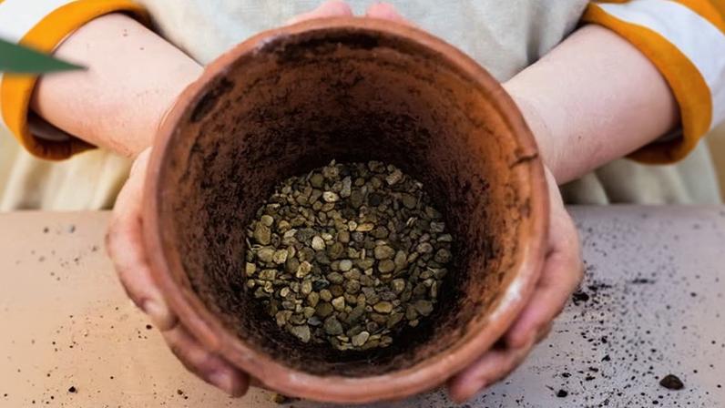 High angle close up of person holding terracotta plant pot with gravel in the bottom.