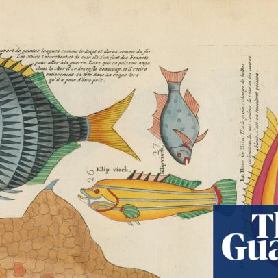 Biblioteca digital disponibiliza 64 milhões de páginas de conhecimento científico