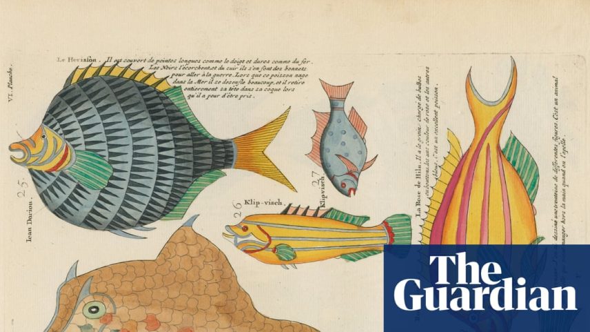 Biblioteca digital disponibiliza 64 milhões de páginas de conhecimento científico