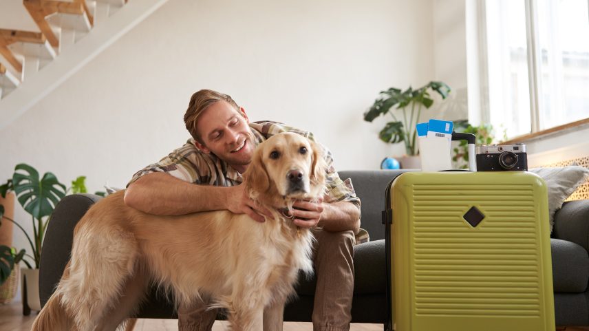 Atualizações para a entrada de animais de estimação nos Estados Unidos