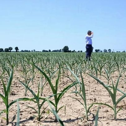 Calor extremo na Europa leva UE a rejeitar negacionismo climático
