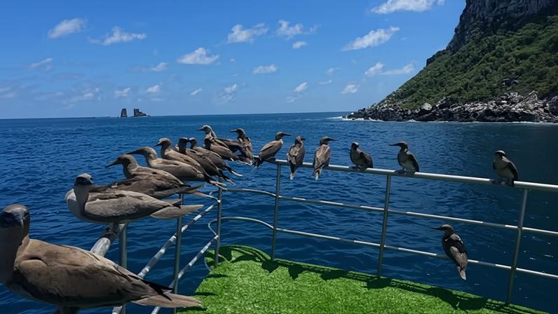 As maravilhas subaquáticas da minha viagem única às Galápagos
