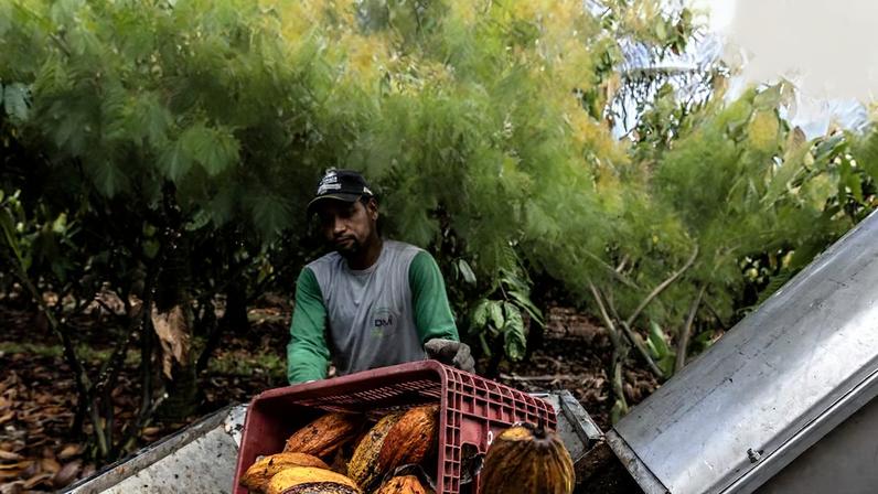 Estoques mundiais continuam distantes dos níveis históricos que tradicionalmente serviram como amortecedor diante de interrupções na produção