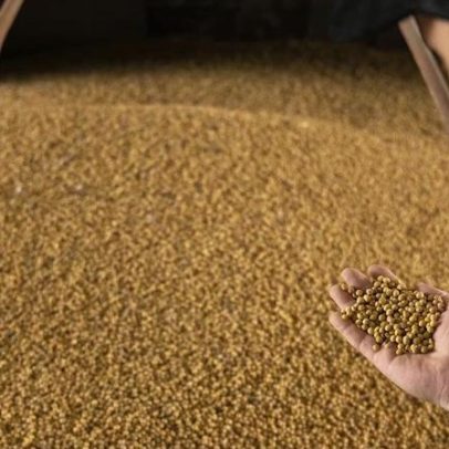 Audax aumenta oferta de crédito e agro ganha espaço