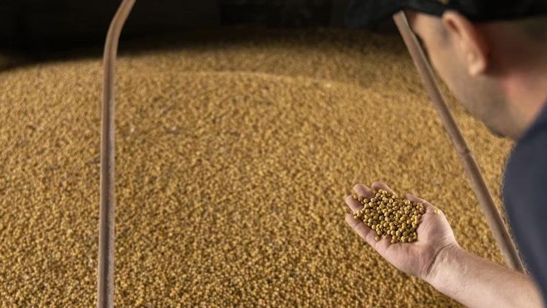 Audax prevê operar até R$ 3,2 bi em crédito neste ano, com cerca de metade do volume ligada ao agronegócio