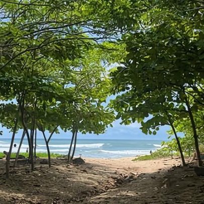 Surfista busca sombra e transforma a costa da Costa Rica