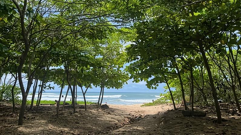 Surfista busca sombra e transforma a costa da Costa Rica