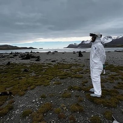 Gripe aviária mortífera se espalha pelo mundo antes de chegar à costa austral