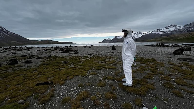 Researchers visited the South Georgia coast to monitor the spread of the H5N1 variant of flu among Antarctic fur seals and birds.