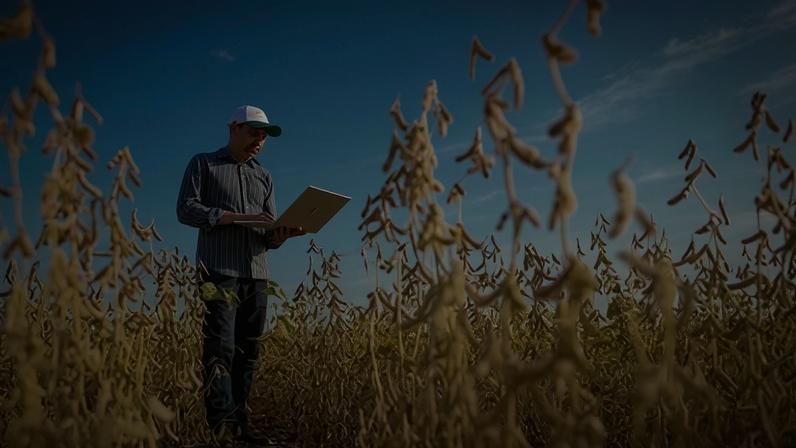 Agro representa um terço da atividade econômica do Brasil