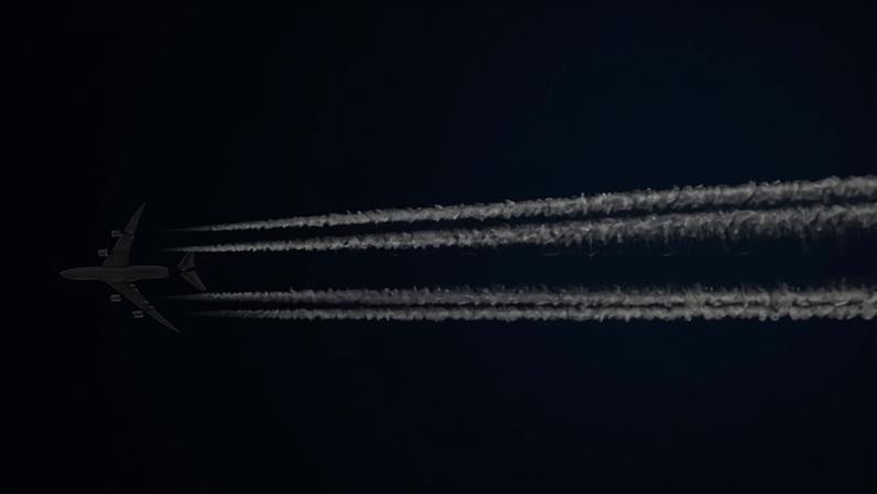Líderes da indústria aérea dizem que meta de zero emissões até 2050 é improvável