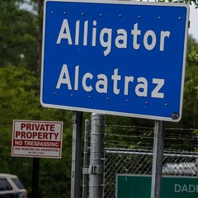 Detidos do Alligator Alcatraz são realocados, informa ICE
