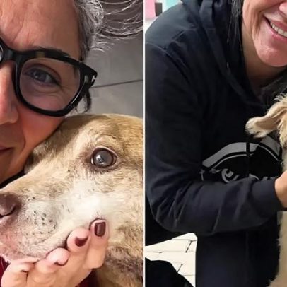 Polícia investiga documentos falsos usados na eutanásia de animais em Canoas