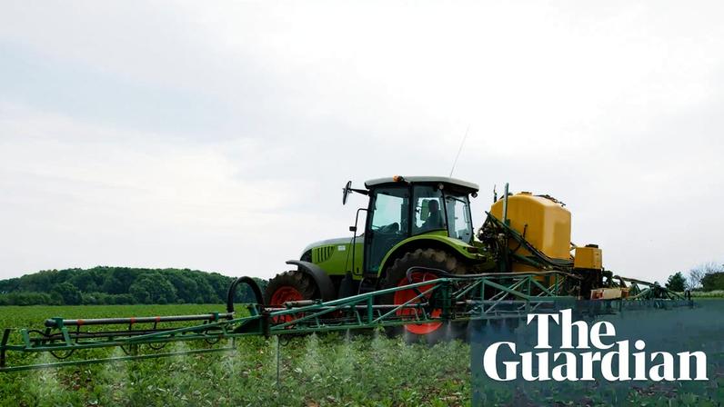VunaNexus’s mineral fertiliser, Aurin, is approved for use on all plants by the Swiss and French authorities. Photograph: Henry Arden/Getty Images/Image Source