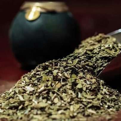 Processo de produção da erva-mate nas ervateiras, desde cultivo até estocagem