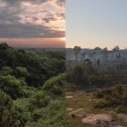 Aquecimento global acelera: 0,27°C por década em ritmo sem precedentes