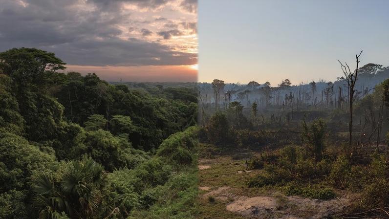 Aquecimento global acelera e sobe 0,27°C por década em ritmo sem precedentes
