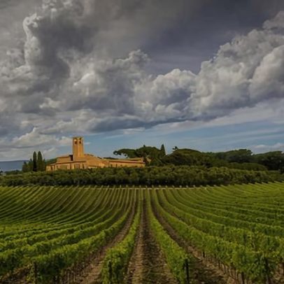DNA de sementes de uva de 2.000 anos aponta origens do vinho moderno
