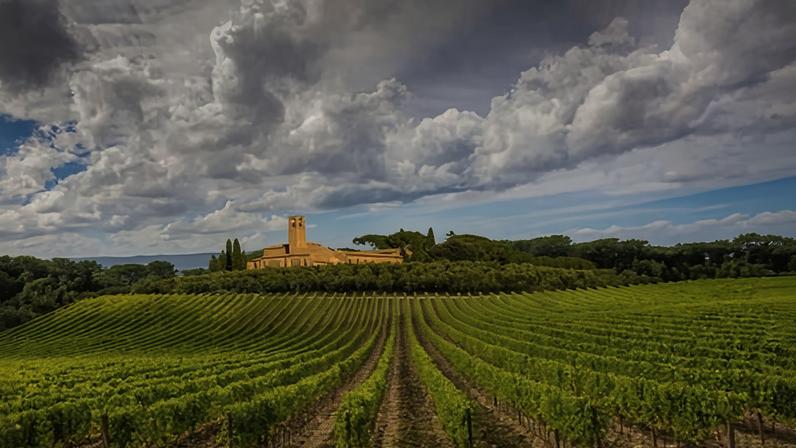 The research also suggests long-distance agricultural networks across the Roman empire that may have been the forerunners of standardised production.