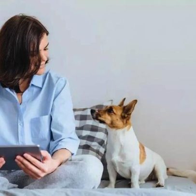 Como a socialização cotidiana influencia o comportamento dos pets