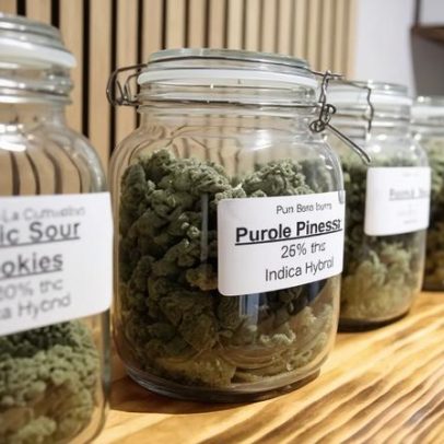 Comercialização de cannabis, não descriminalização, aumenta uso, diz estudo