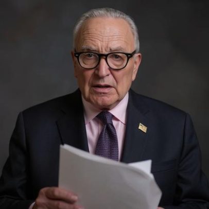 Democratas se preparam para possível interferência nas eleições de meio mandato
