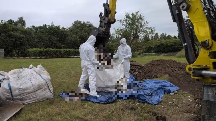 Mais de 30 fetos são encontrados em jardim de médica na Polônia (Polícia de Rzeszów/Divulgação)
