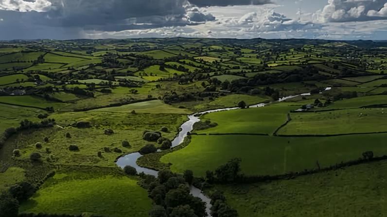 Até 90% dos requerentes de asilo na Irlanda entraram pela Irlanda do Norte