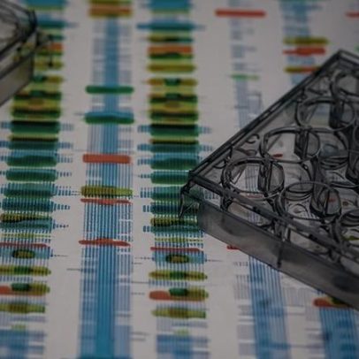 Natureza ou criação: os genes influenciam nosso comportamento?