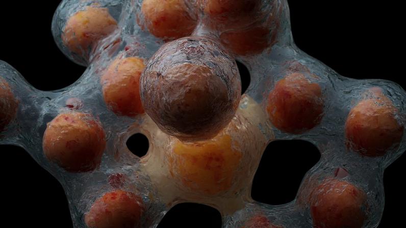 Método inédito utiliza células estaminais da gordura corporal para criar uma pasta moldável capaz de regenerar lesões ósseas graves em tempo recorde