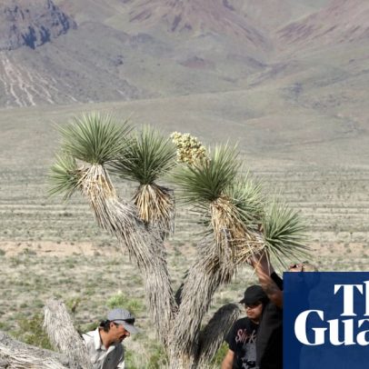 Confronto no deserto: cidade pequena enfrenta novo rush de ouro na Califórnia