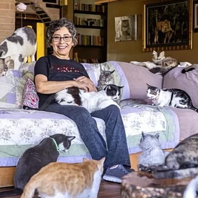 Mitos sobre mulheres que gostam de gatos são desmentidos pela ciência