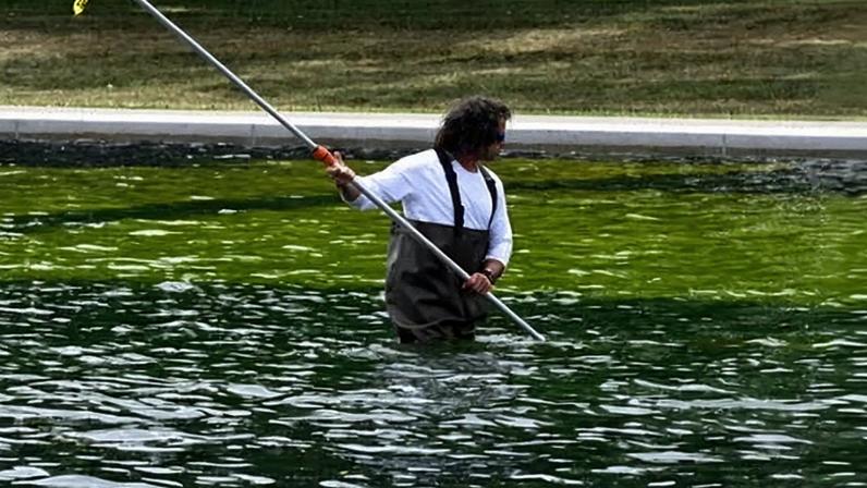Piscina de DC renovada evidencia arrogância da administração Trump