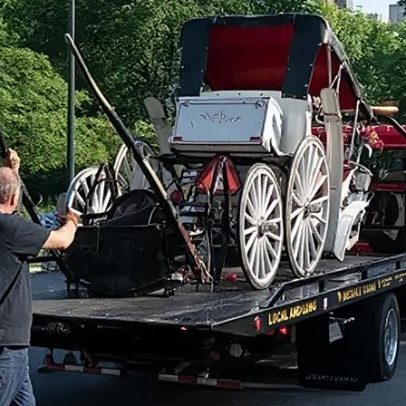 Adolescente morre em acidente com carroça puxada por cavalo em Nova York